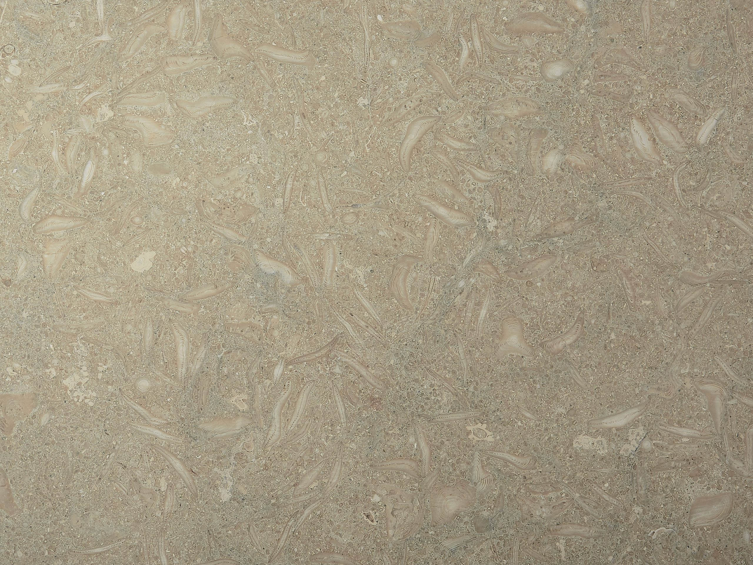 limestone_rustico_honed_001_High