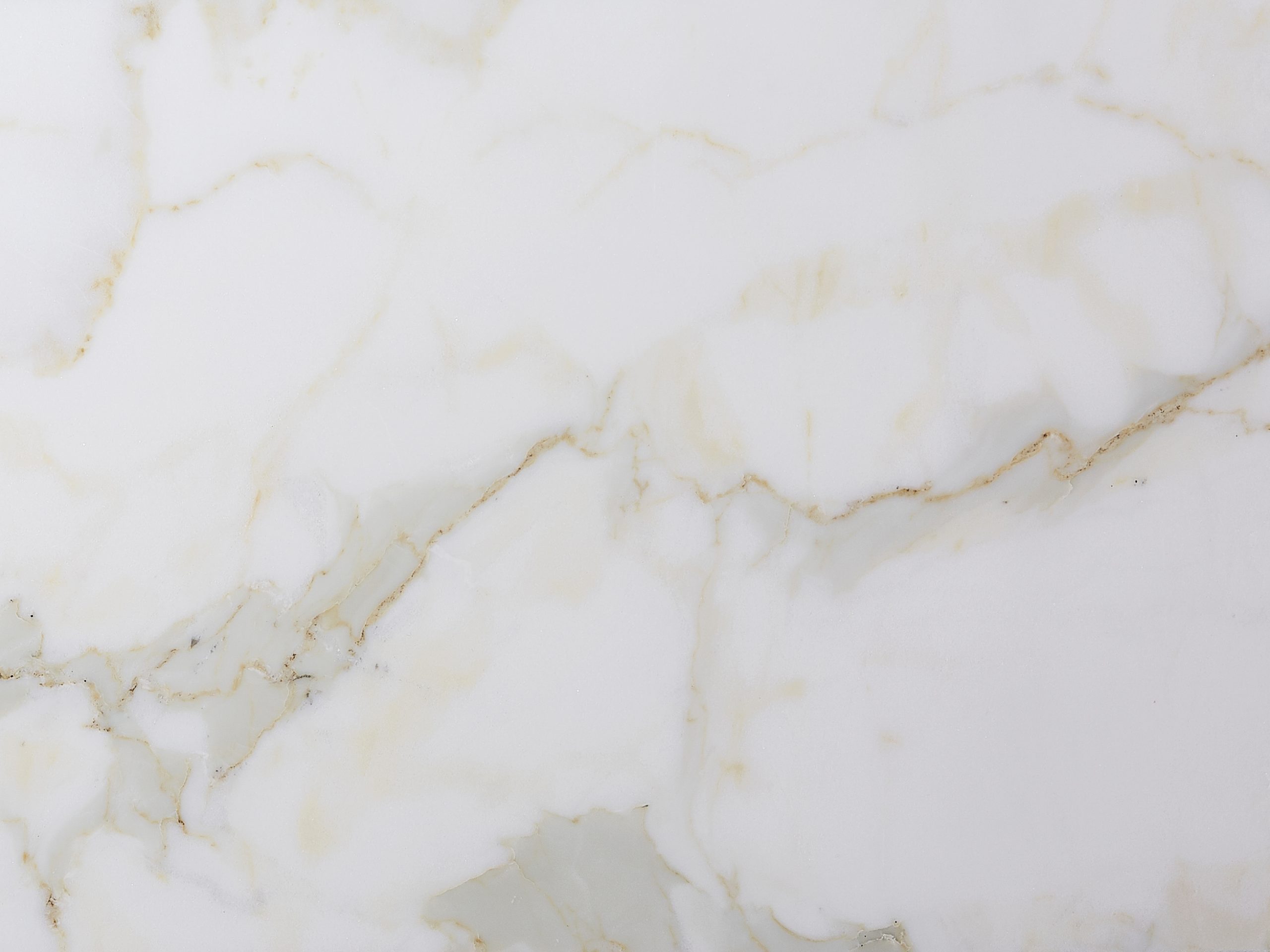 marble_calacatta_gold_honed_001_High