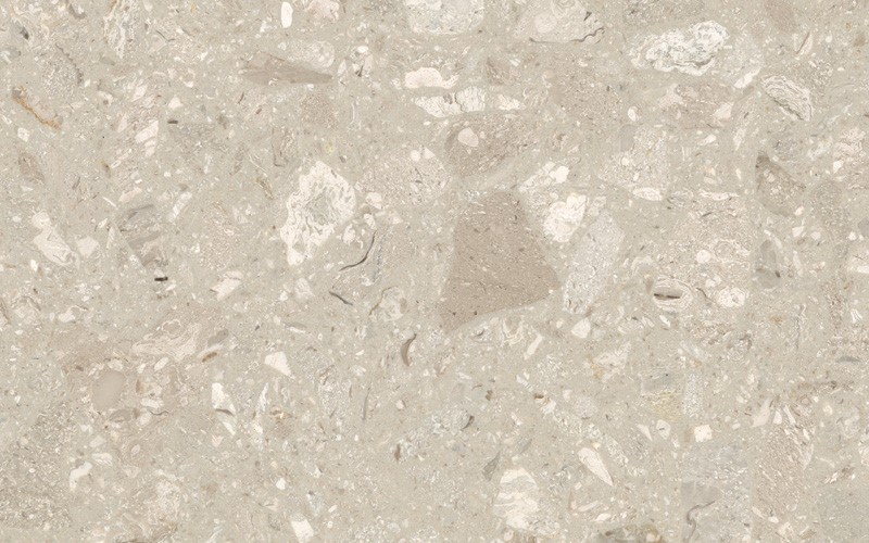 Botticino Terrazzo Tile – Honed Finish