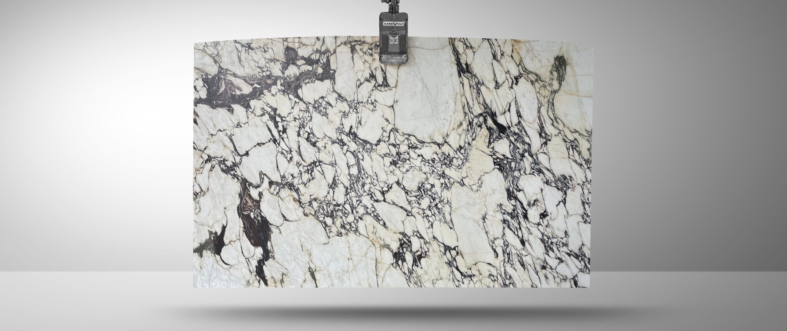 Worldstone_Calacatta Viola Batch#5MM624 (2)