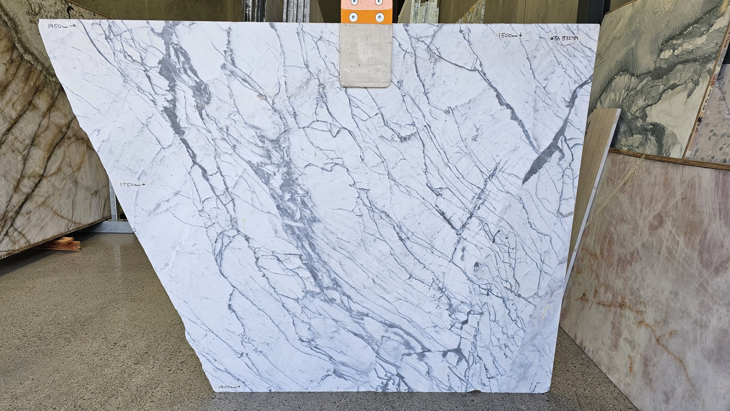 STATUARIETTO FINE VEIN Batch32789 Slab #36
