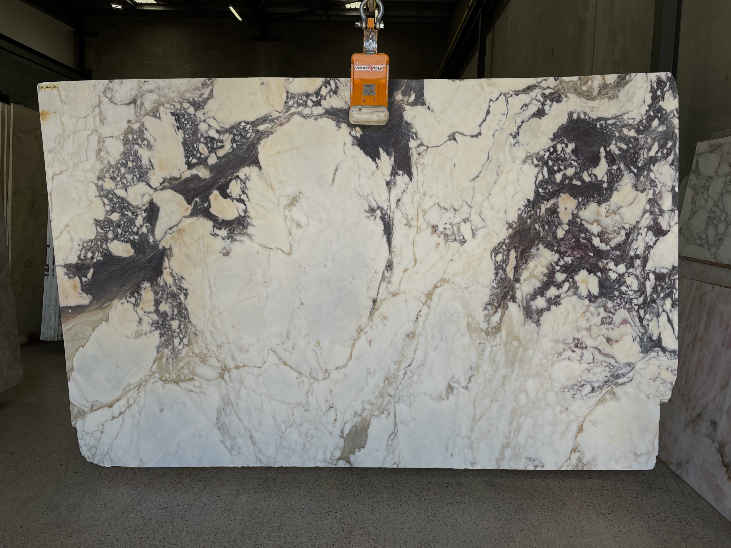 Viola Minareto Batch 27768 #33 (1)